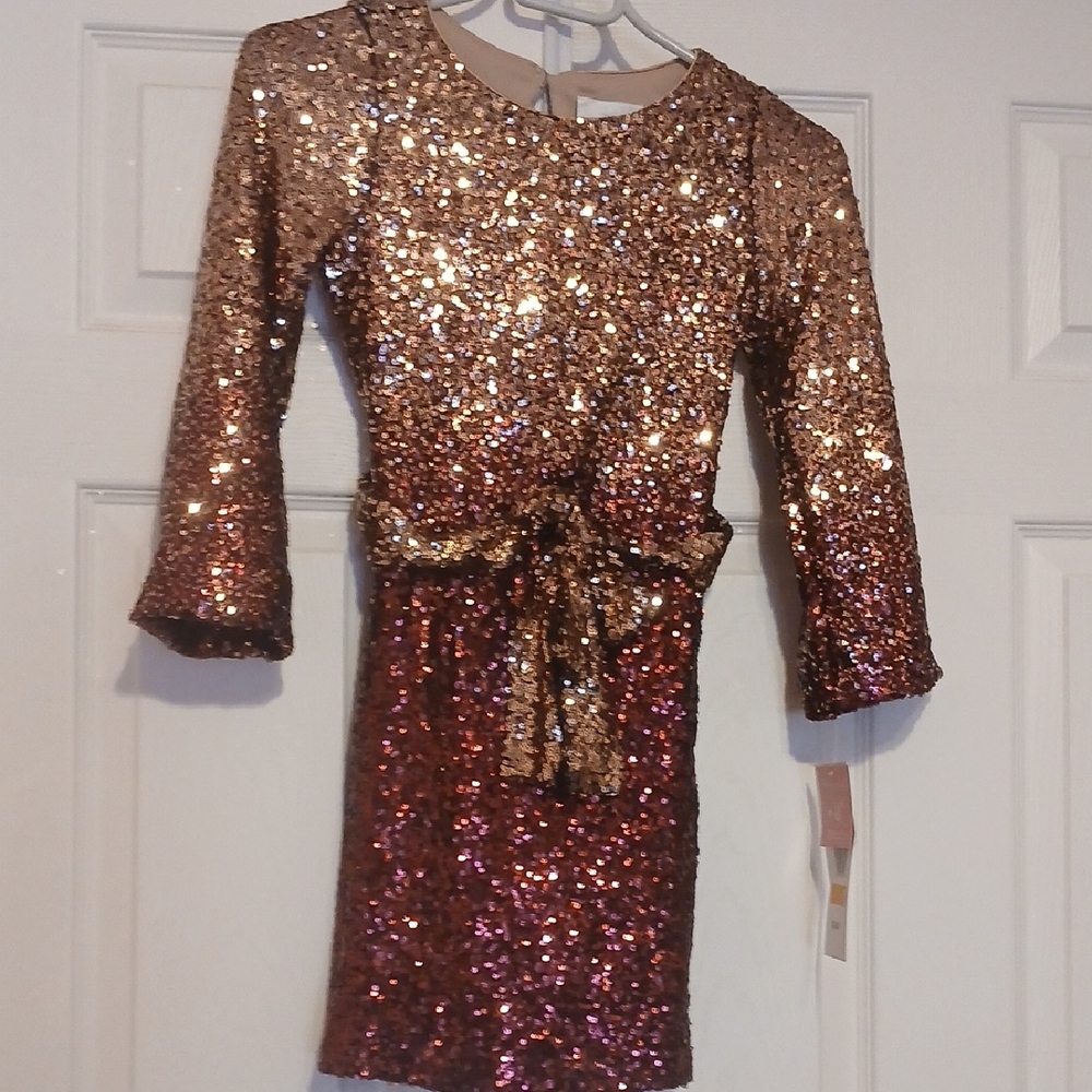 Rare Editions Gold and Pink Sequin Dress